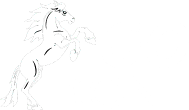 KoniGo